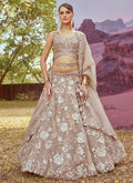 Beige Multi Embroidery Bridal Lehenga Choli