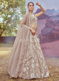 Party Wear Lehengas
