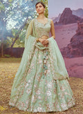 Sage Green Multi Embroidery Bridal Lehenga Choli