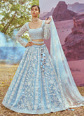 Blue Lehenga Choli