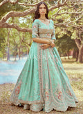 Sea Green Lehenga Choli