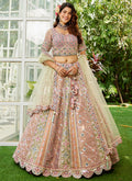 Mauve Purple Multi Bridal Lehenga Choli