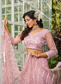 Pink Lehenga Choli