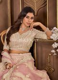 Buy Bridal Lehenga Choli 