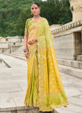 Lime Yellow Multi Embroidery Saree