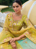 Buy Lehenga at Hatkay