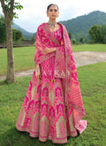 Magenta Pink Traditional Embroidery Bridal Lehenga Choli