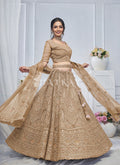 Shop Bridal Lehenga Choli