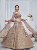 Asian Wear Lehenga Choli