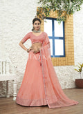 Soft Peach Embroidered Bollywood Lehenga Choli