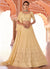 Pale Yellow Traditional Embroidered Lehenga Choli