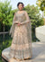 Baby Pink And Grey Designer Anarkali Gown