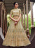 Light Green Overall Designer Anarkali Gown