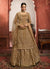 Beige Golden Net Lehenga/Pant Suit